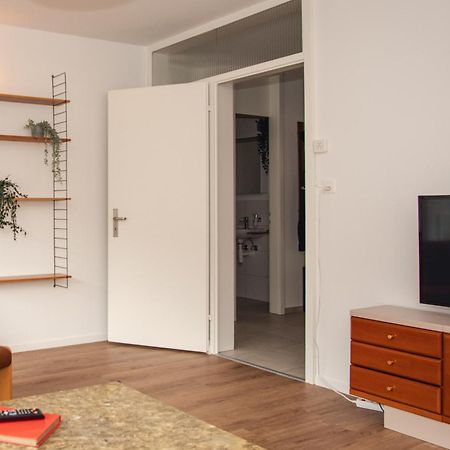 Spacious Apartment Next To Rhine Базель Экстерьер фото